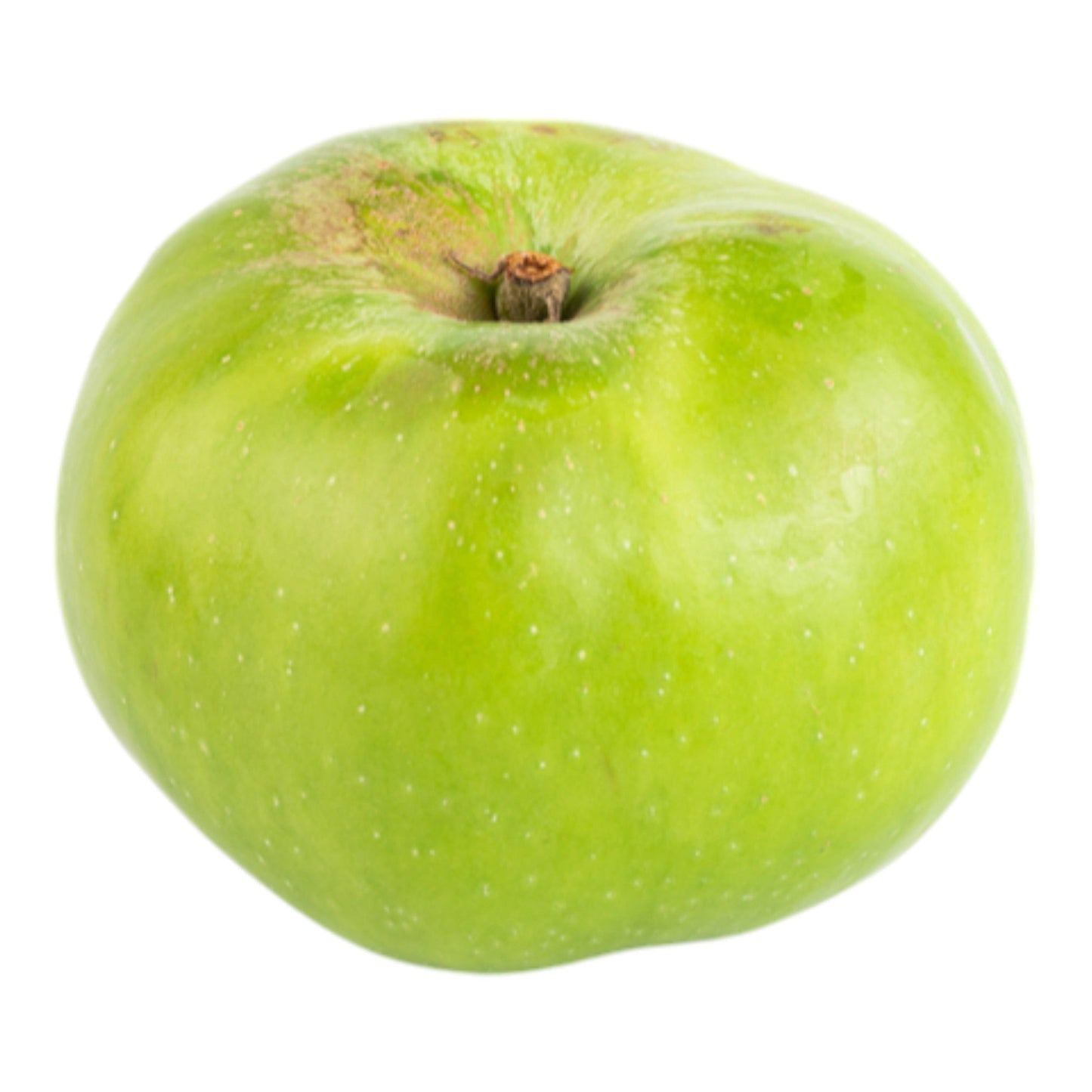 Bramley Apple