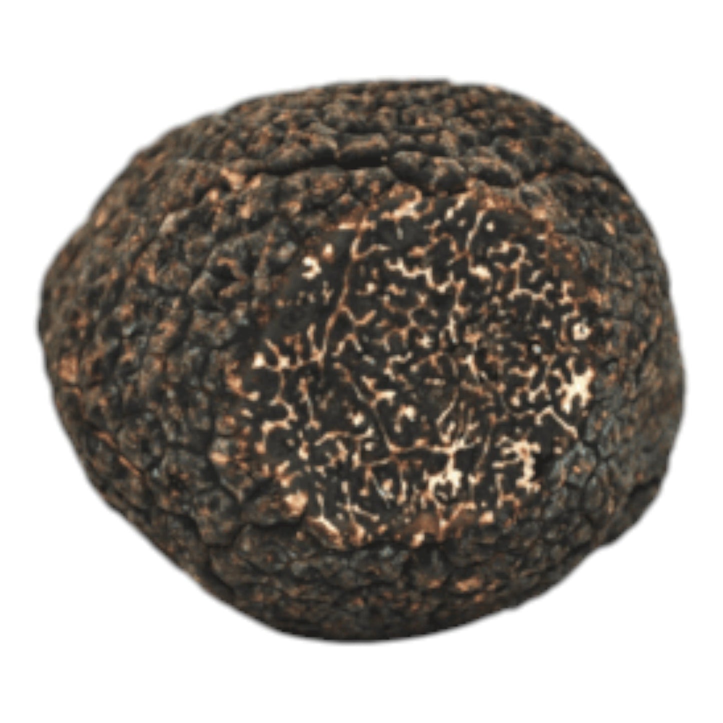 Black Winter Truffles