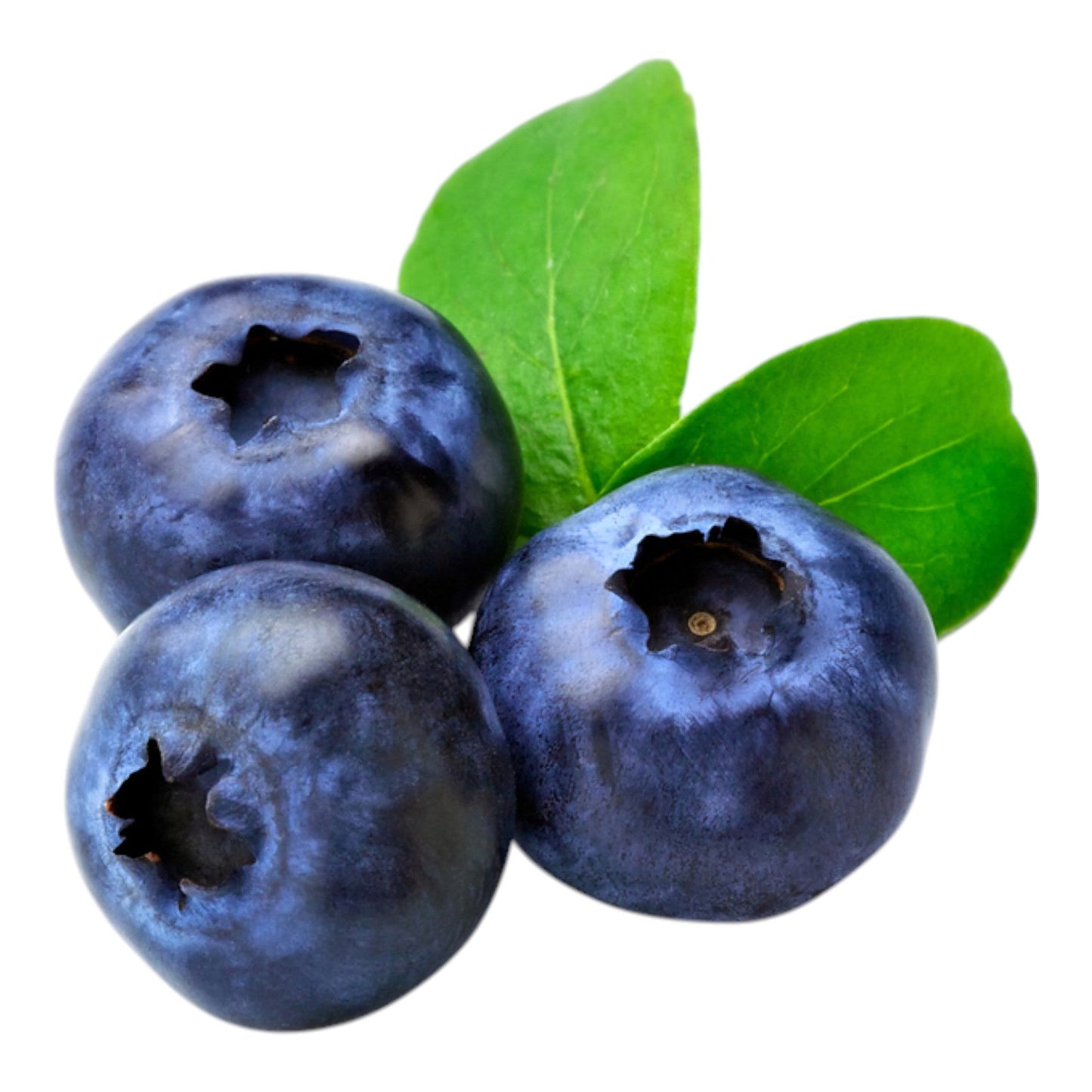 Blueberry