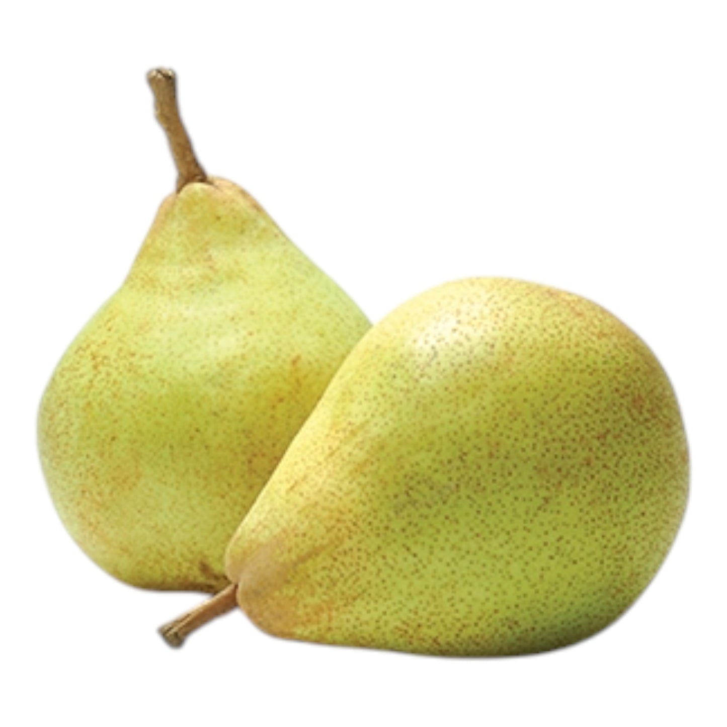 Comice Pear