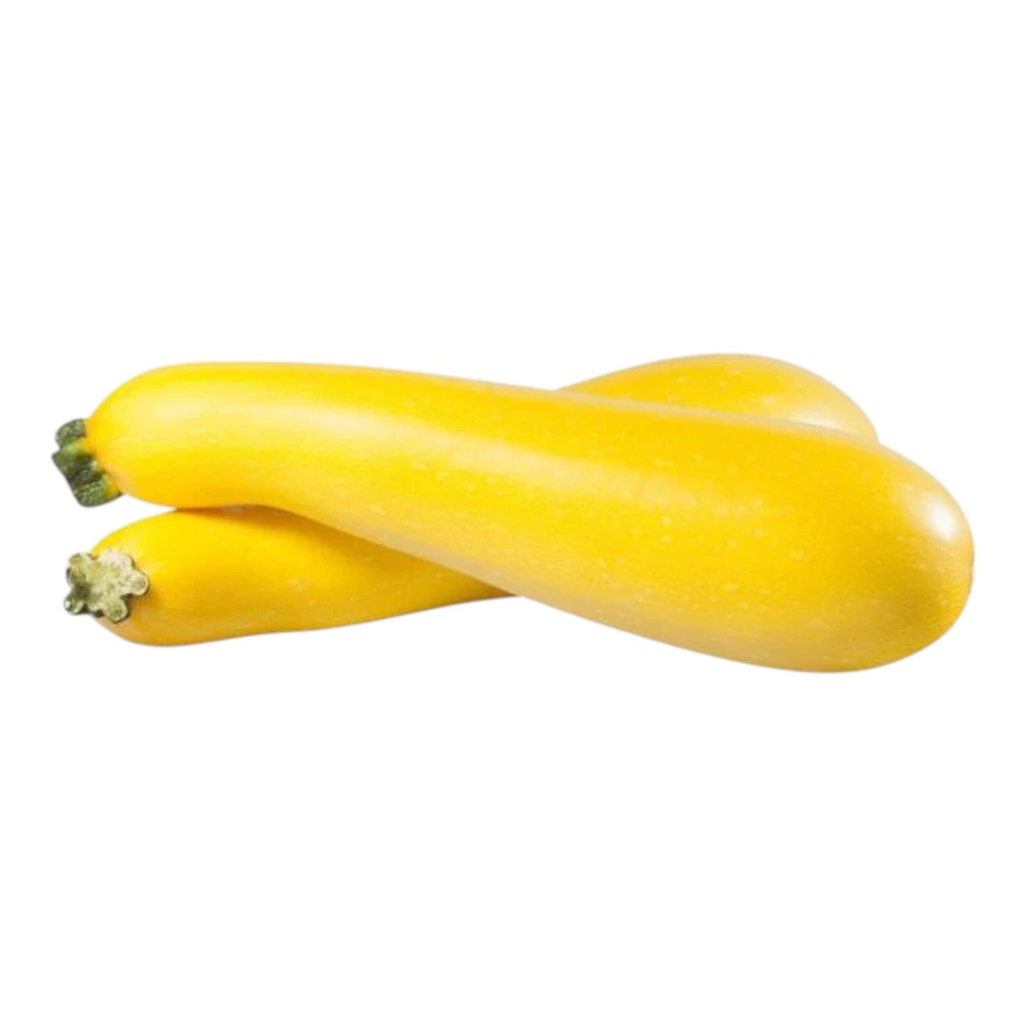 Courgette Round Yellow