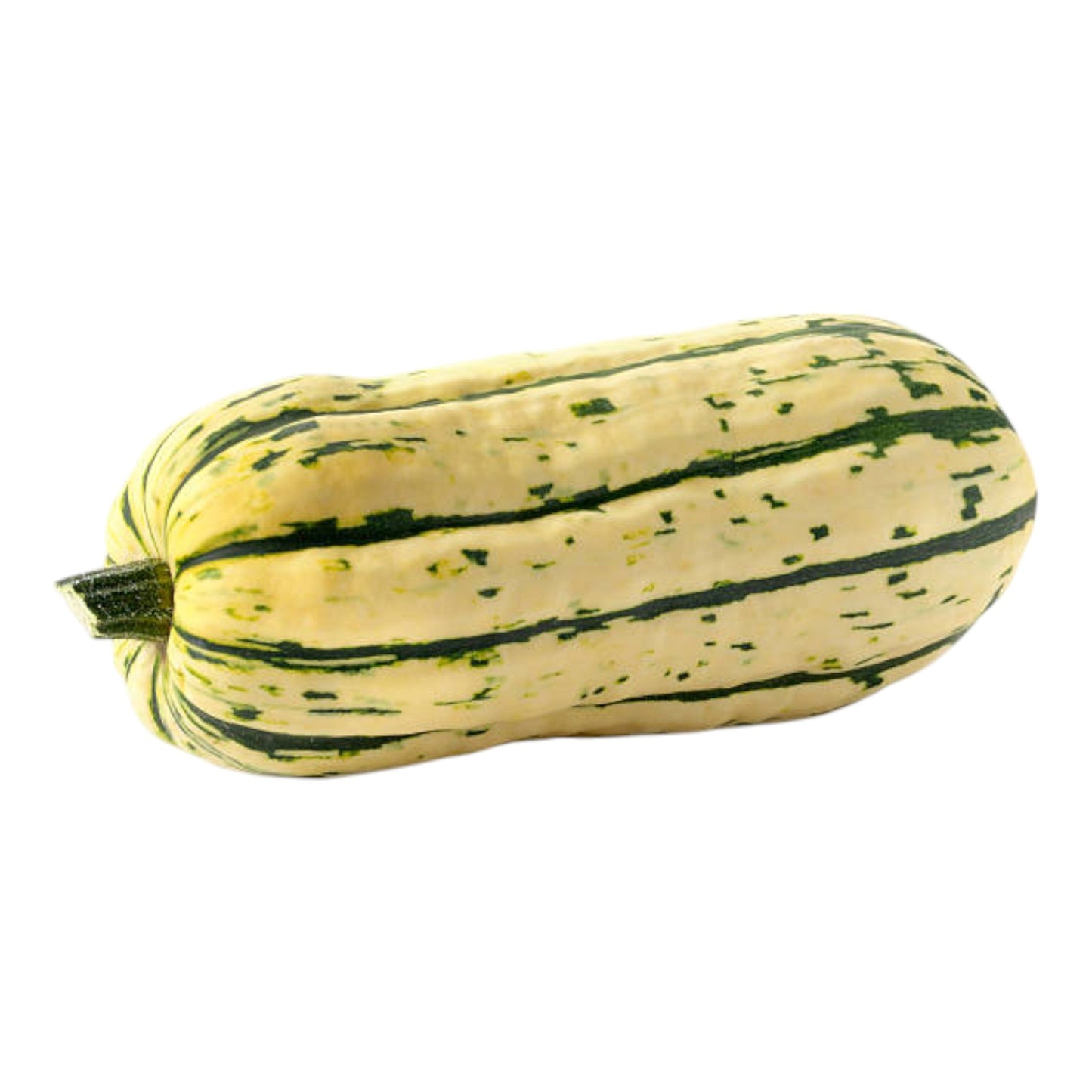 Delica Squash