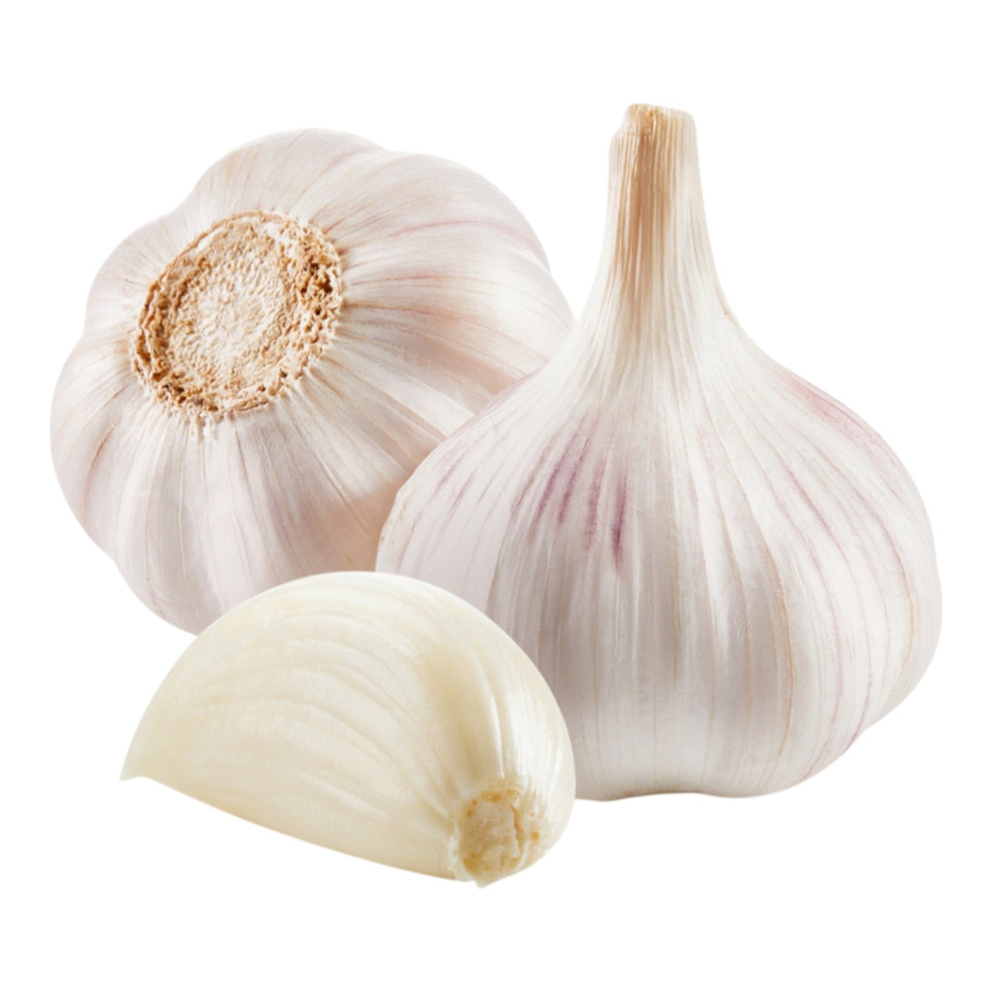 Garlic White String