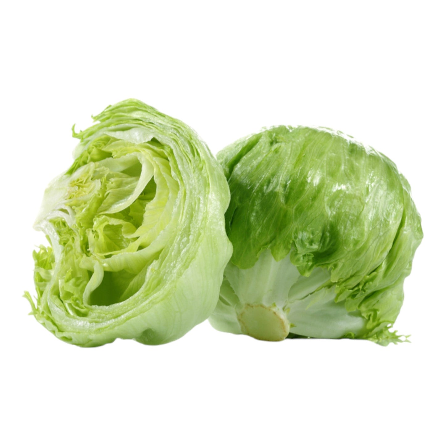 Iceberg Lettuce