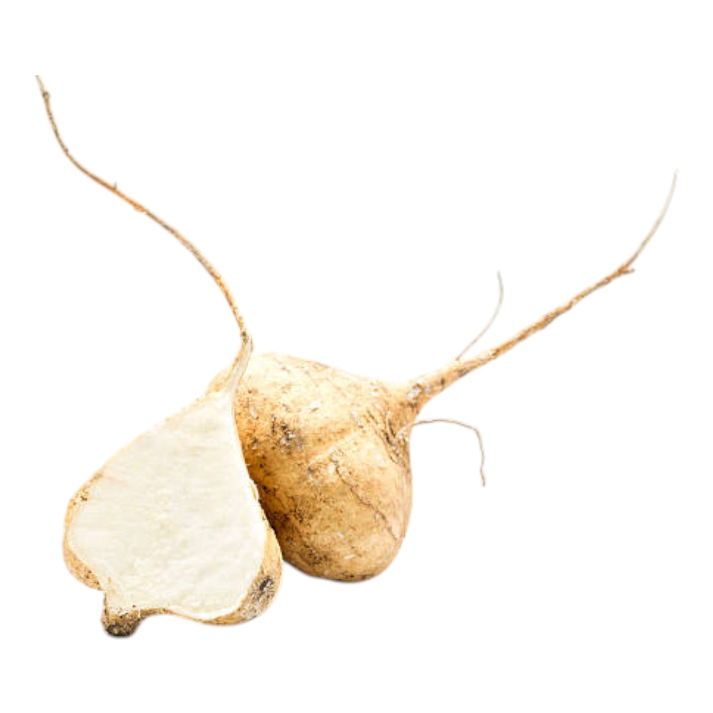 Jicama