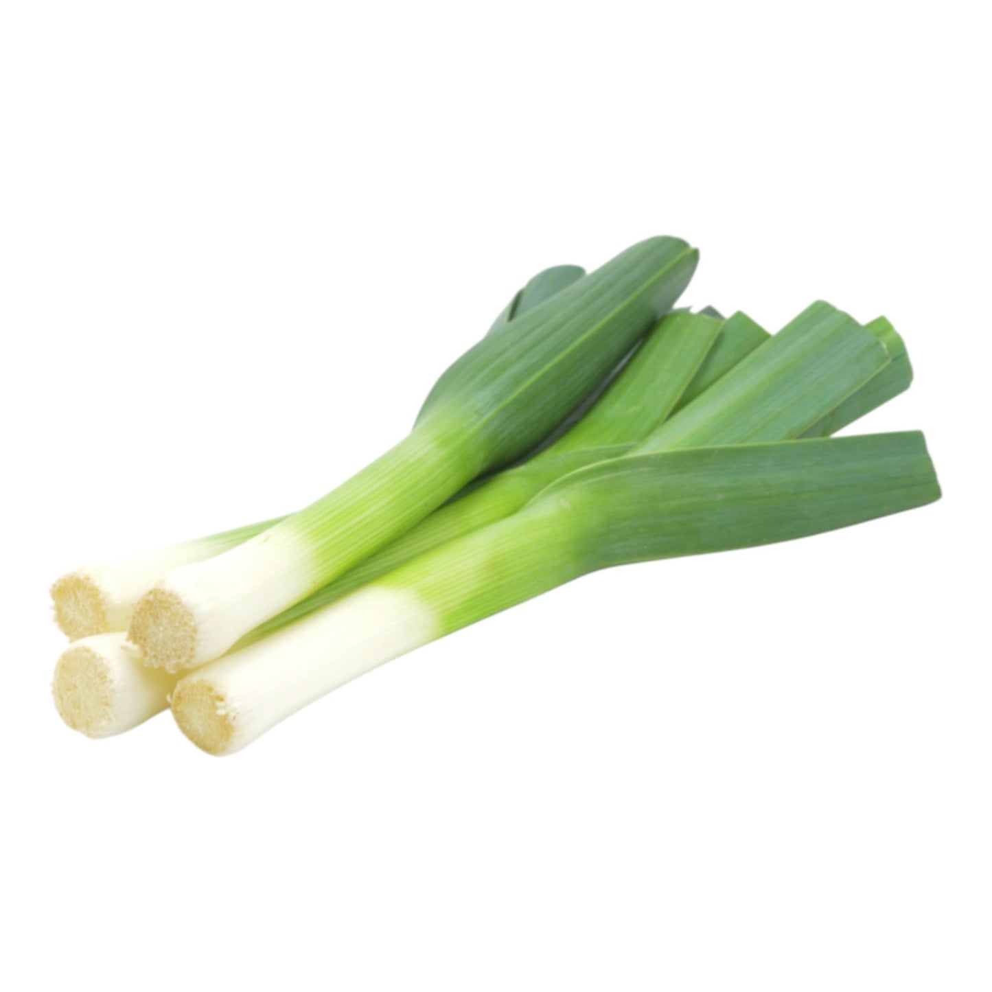 Leek