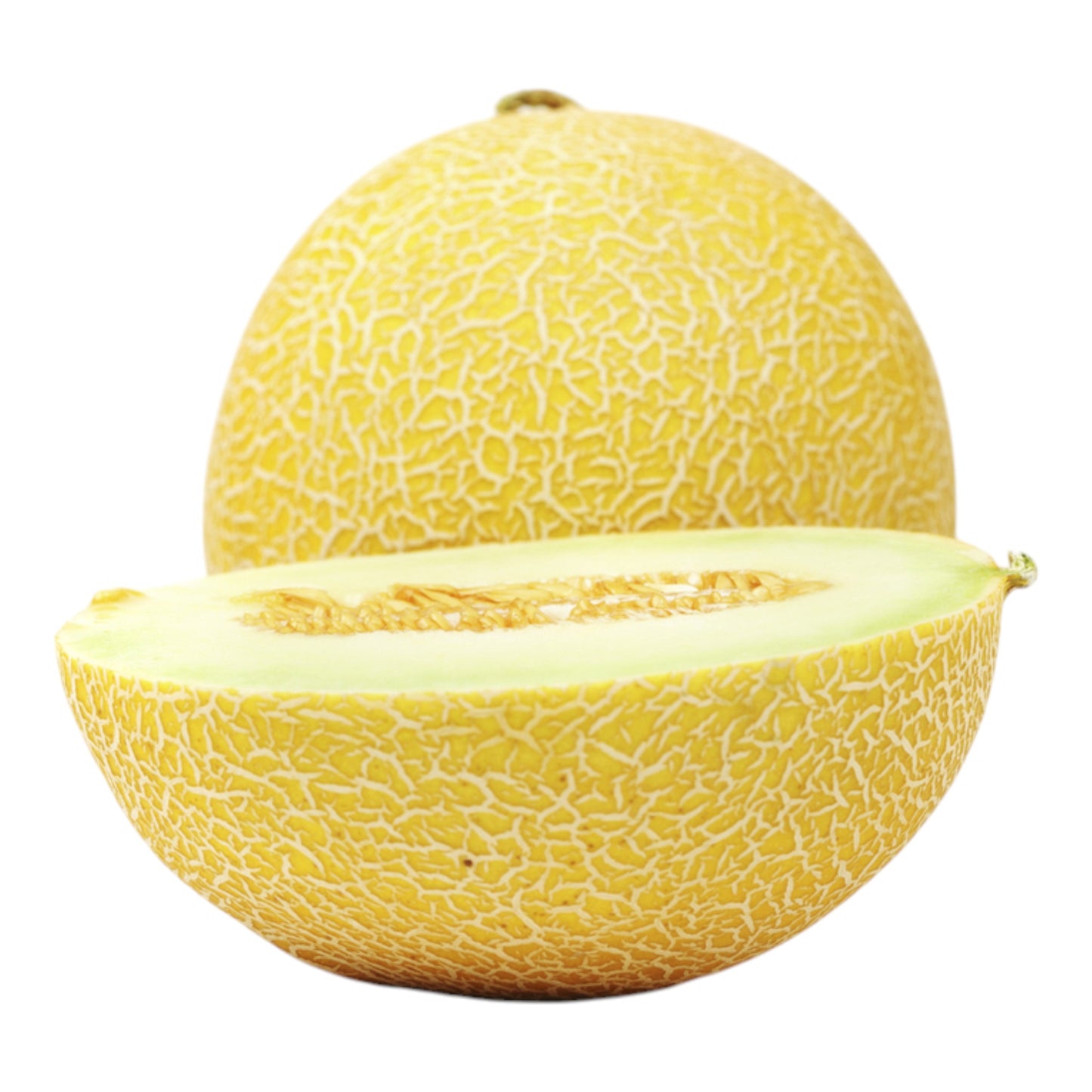 Galia Melon