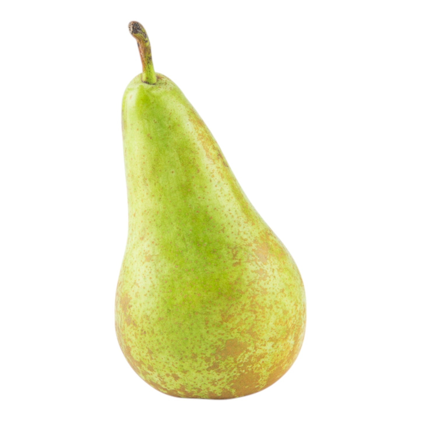 Conference Pear