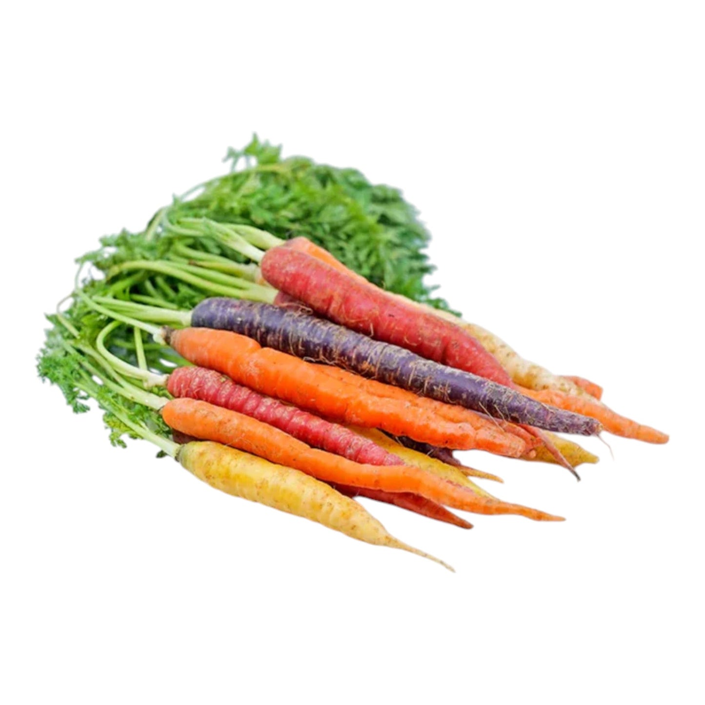 Rainbow Carrots