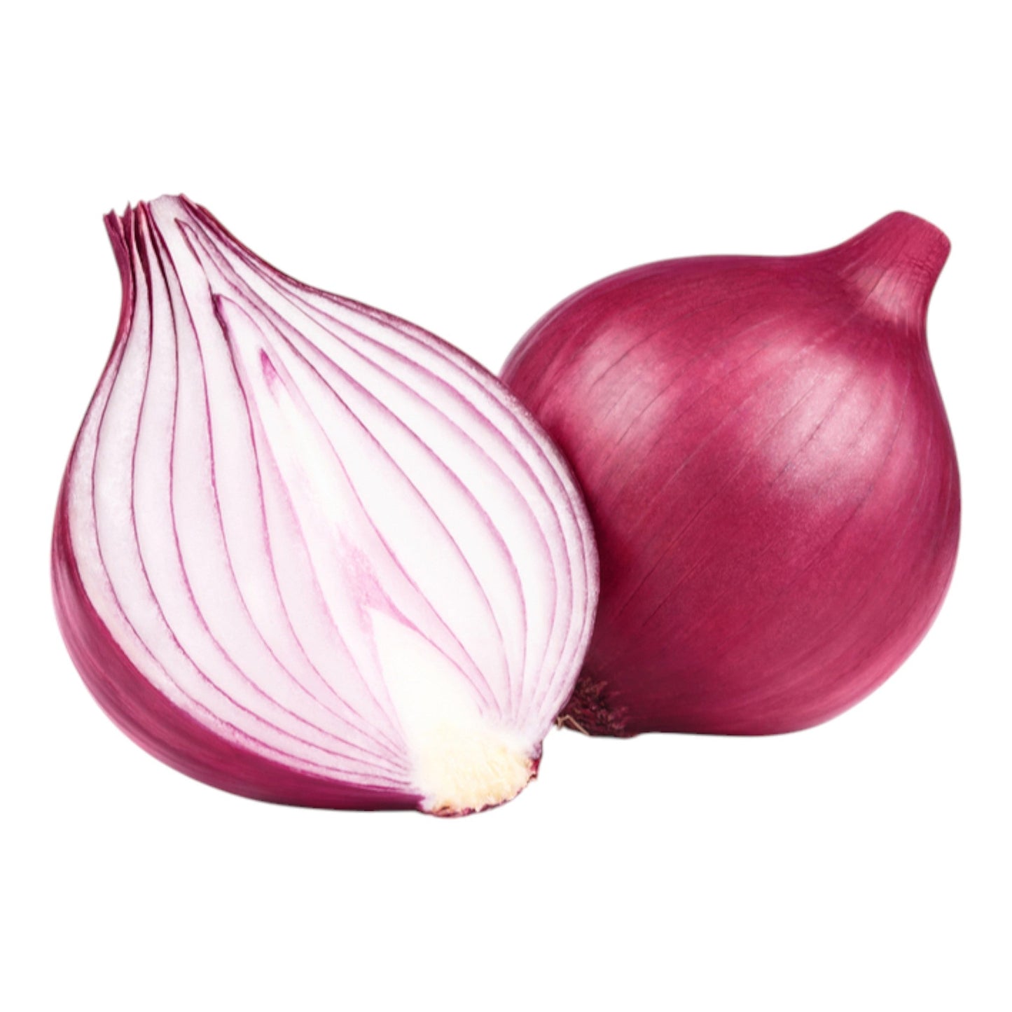 Red Onion