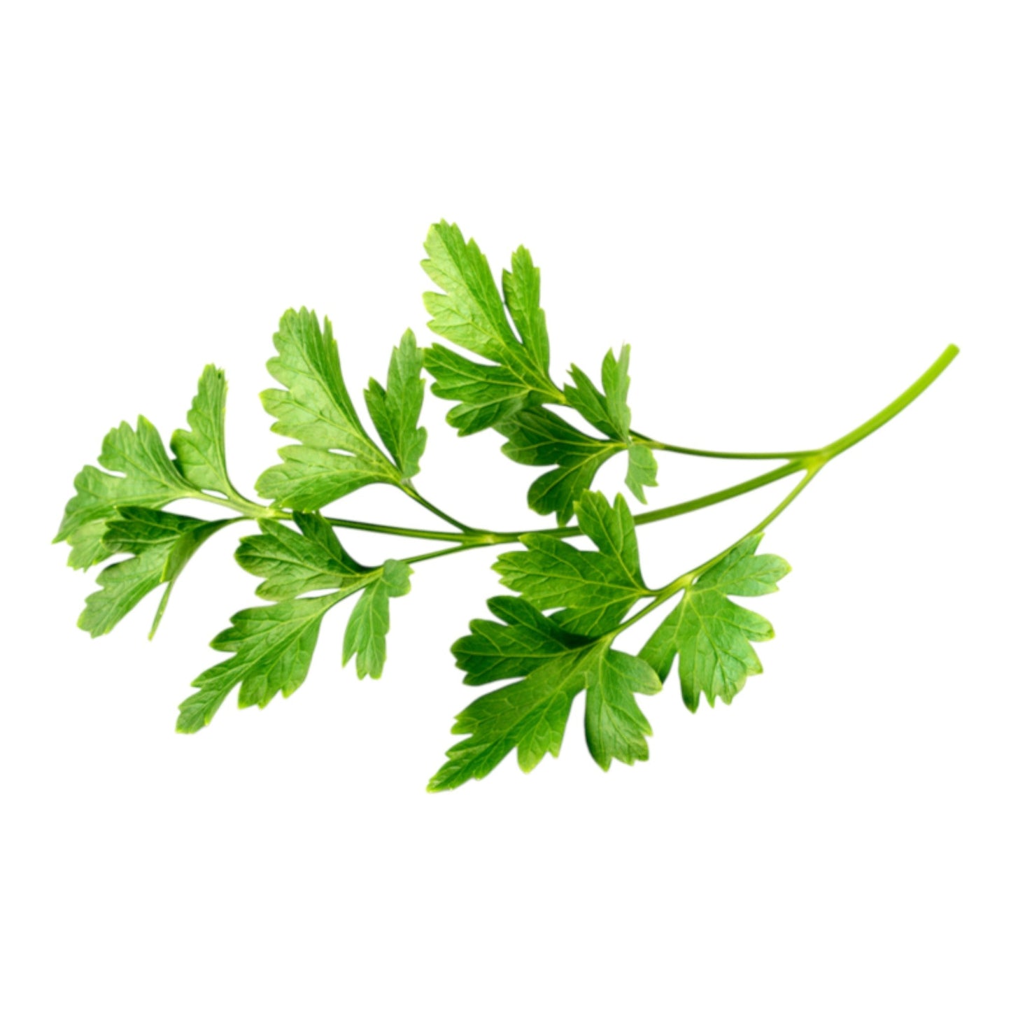 Parsley Flat