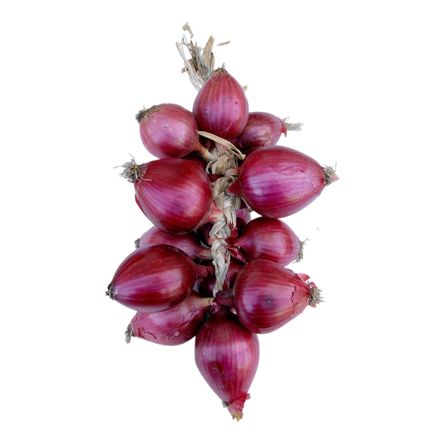 Onion Bunch Tropea Red